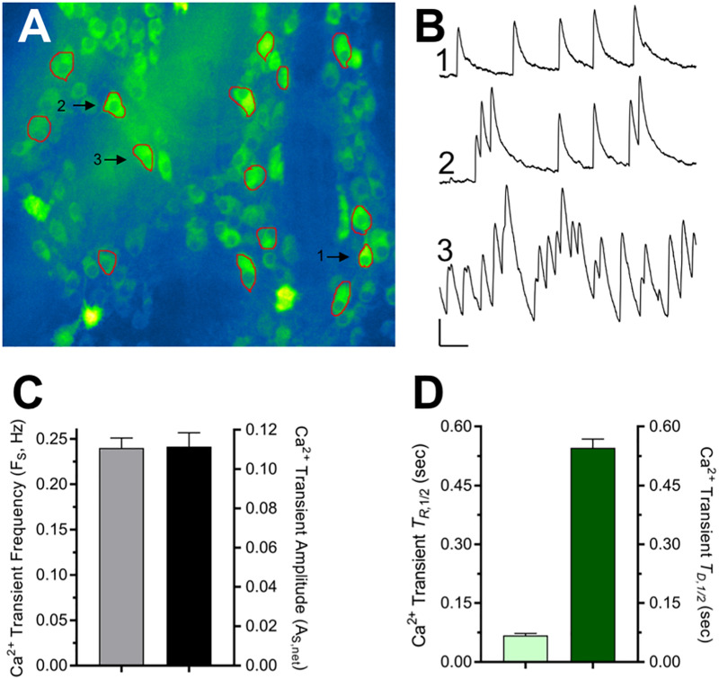 FIGURE 2