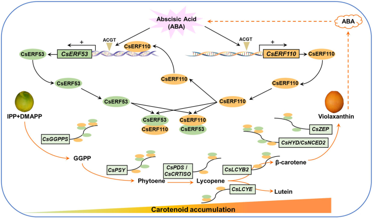 Figure 7