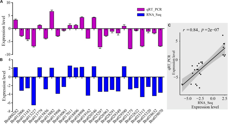 FIGURE 3