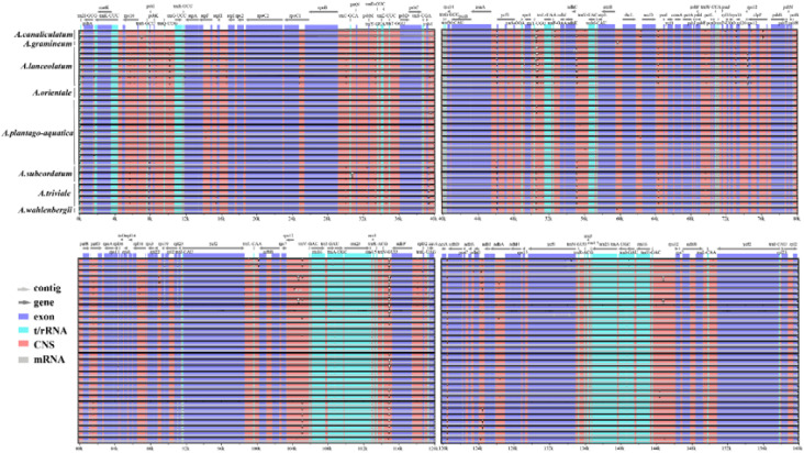 Figure 4