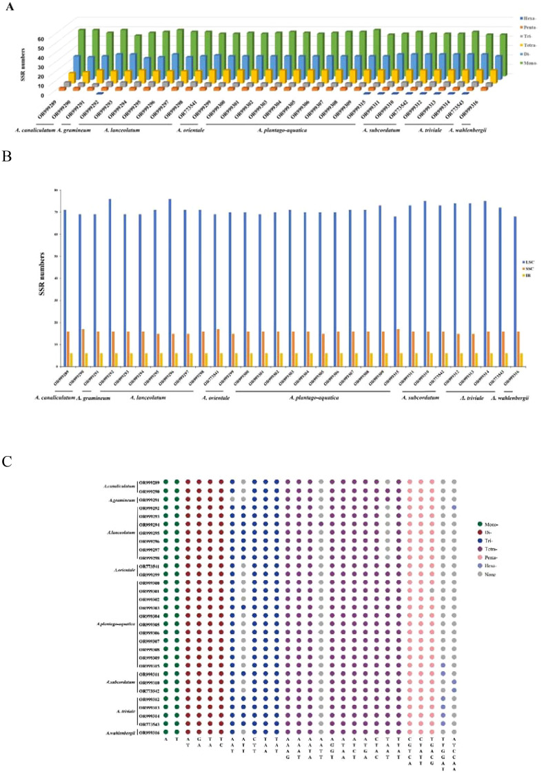 Figure 1