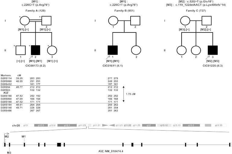 Figure 1