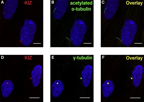 Figure 4