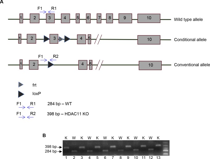 Figure S1.