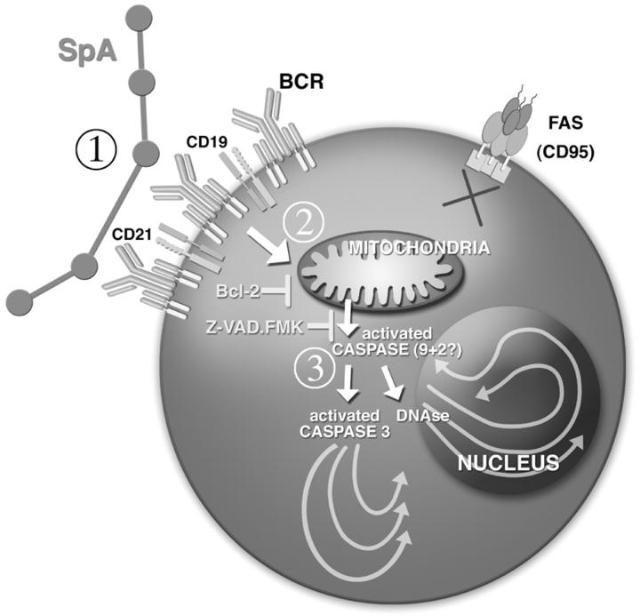 Figure 9.