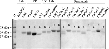 FIG. 5.