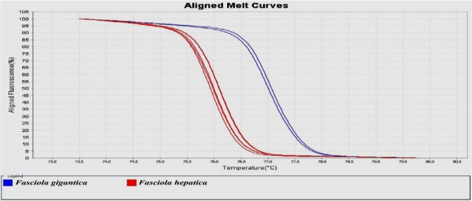 Fig. 2: