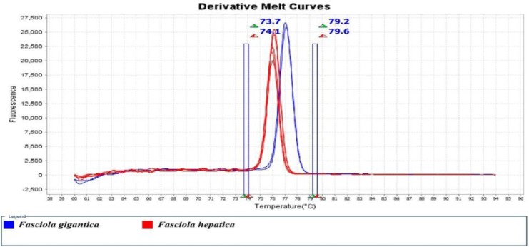 Fig. 3: