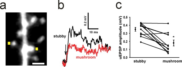 Figure 7.