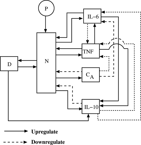 Figure 1.