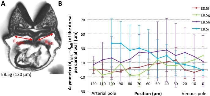 Figure 4—figure supplement 1.