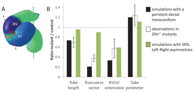 Figure 9—figure supplement 3.