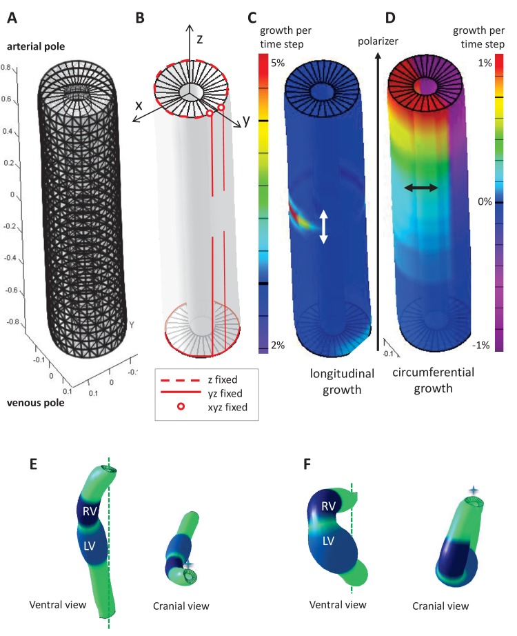 Figure 6—figure supplement 1.