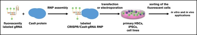 graphic file with name advances015511absf1.jpg