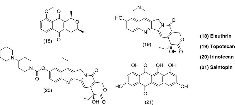 Fig. 9