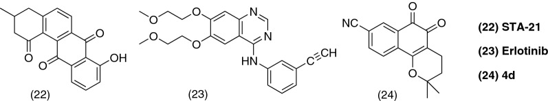 Fig. 10