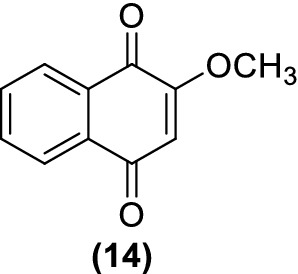 Fig. 5