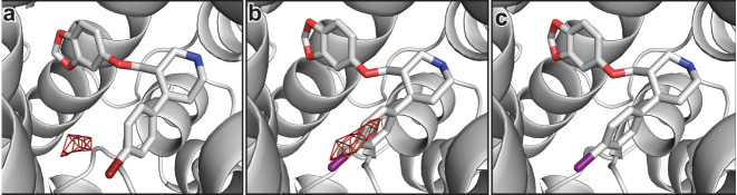 Figure 4—figure supplement 6.