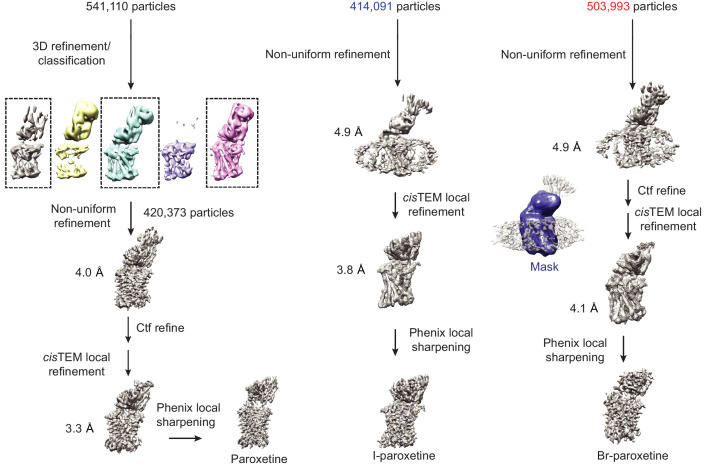 Figure 4—figure supplement 2.