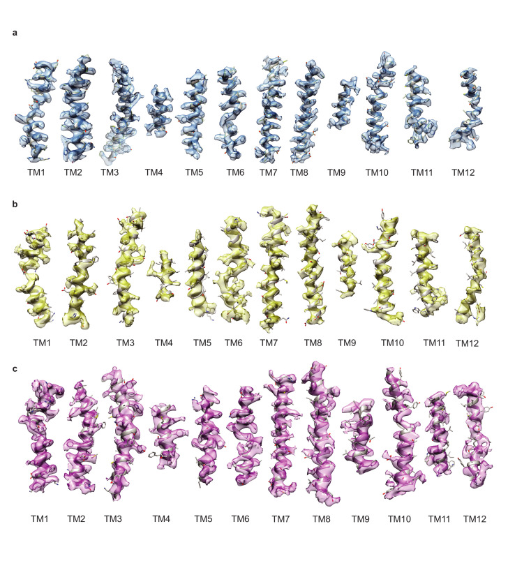 Figure 4—figure supplement 4.