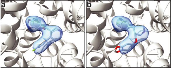 Figure 4—figure supplement 5.