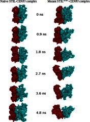 Fig. 9