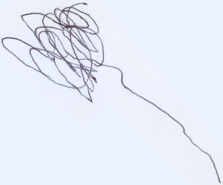 Figure 8