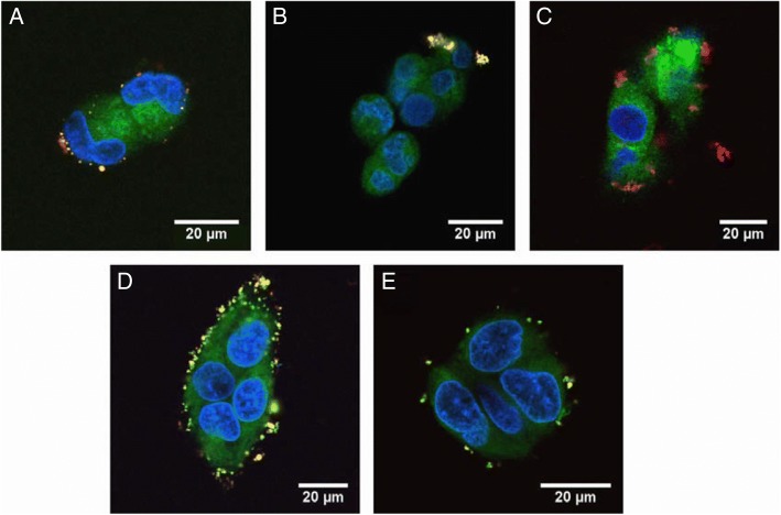 Fig. 15