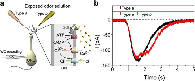 Fig. 2