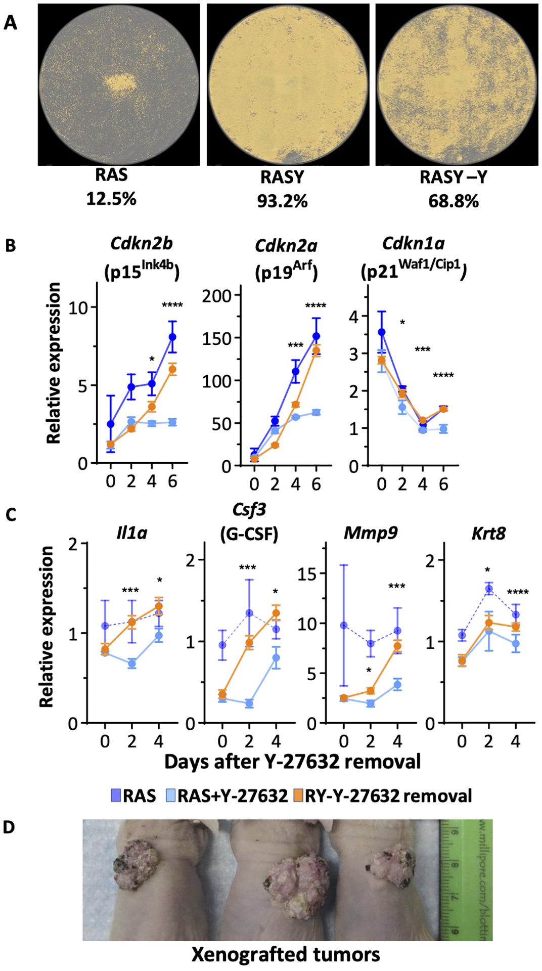 Figure 7.