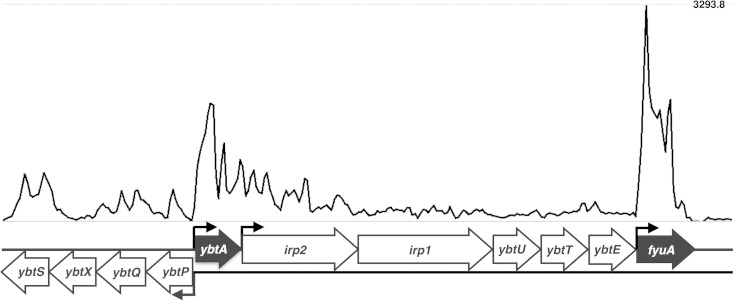 FIG 2