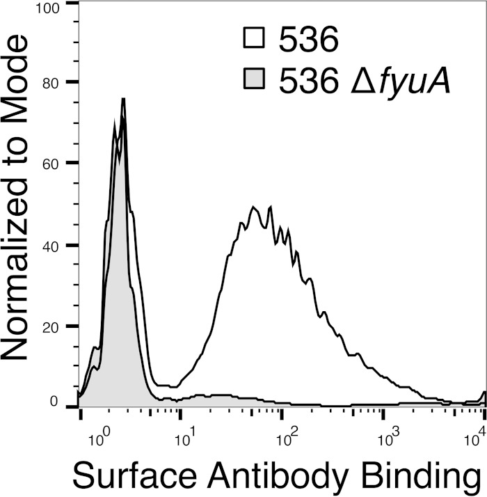 FIG 6