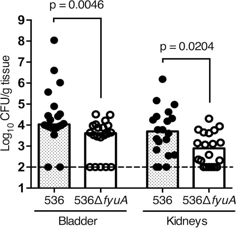 FIG 3