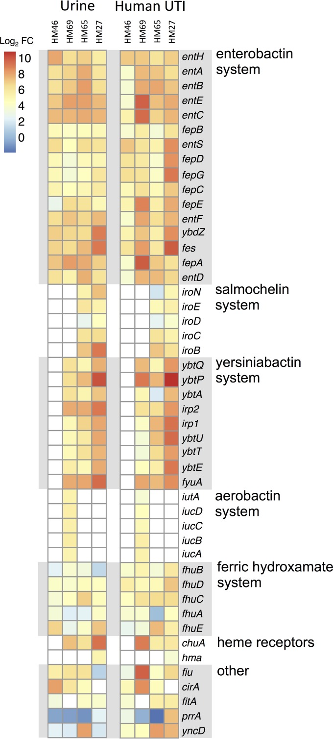 FIG 1