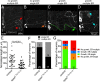 FIGURE 7: