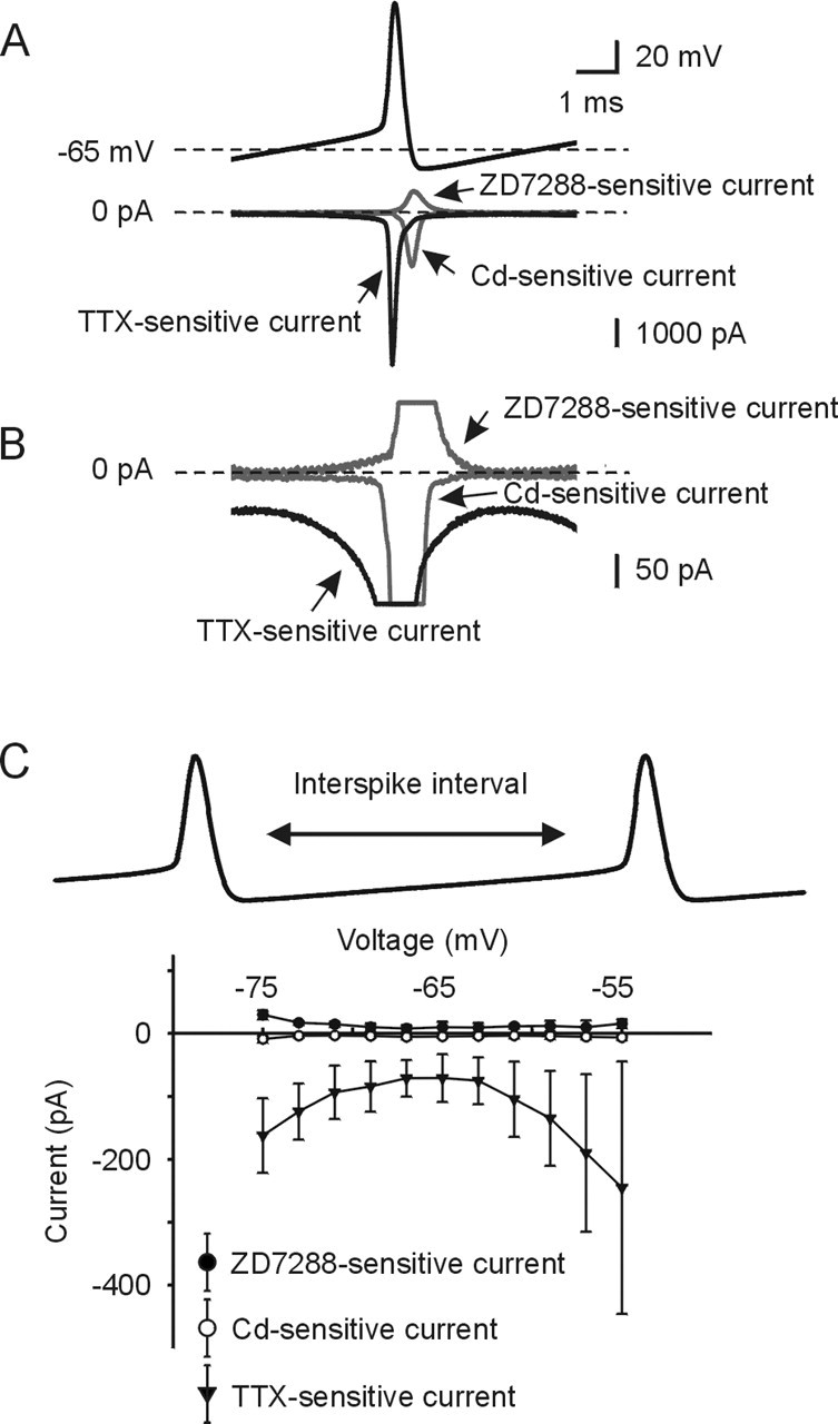 Figure 3.