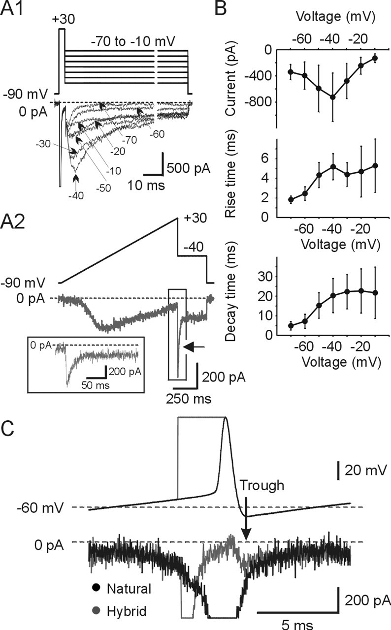 Figure 5.