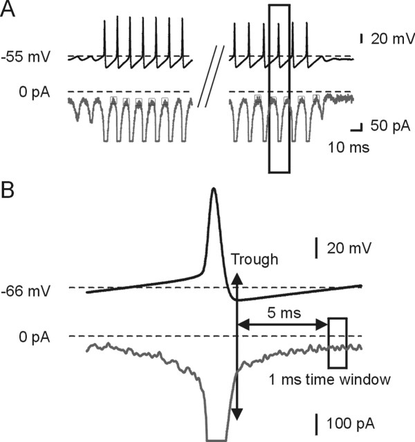 Figure 6.