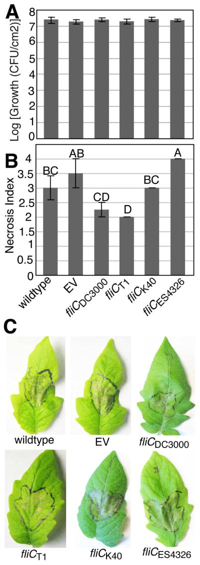 Fig. 7