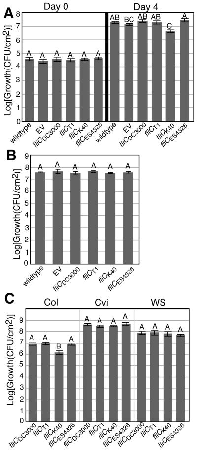 Fig. 8