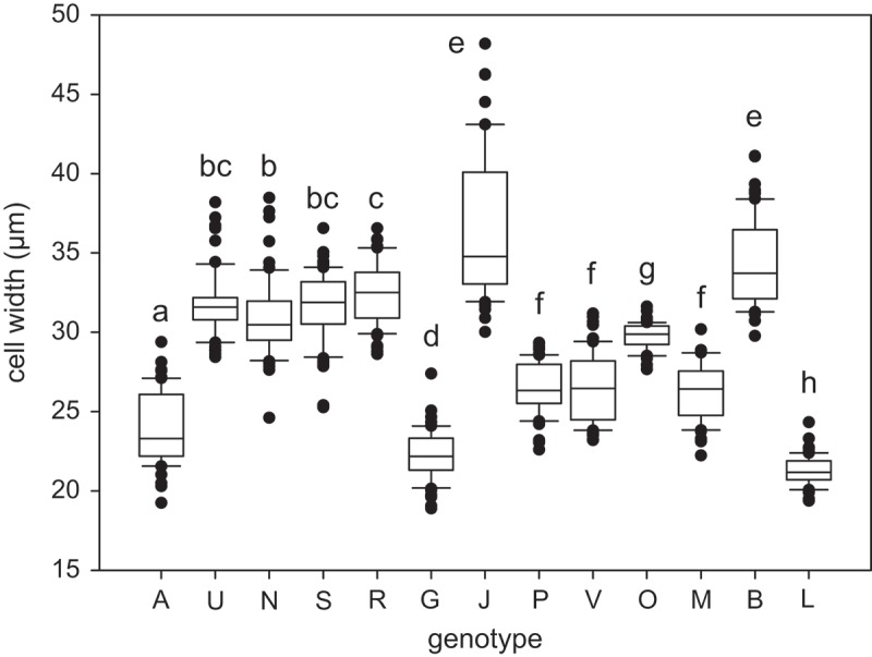 Fig. 41.