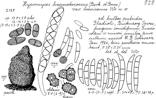 Fig. 9.