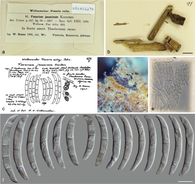 Fig. 50.