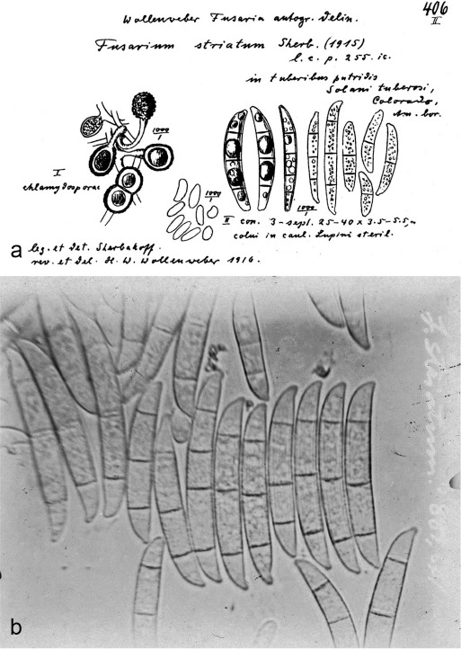 Fig. 20.