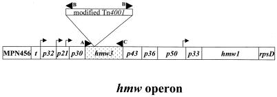 FIG. 2.