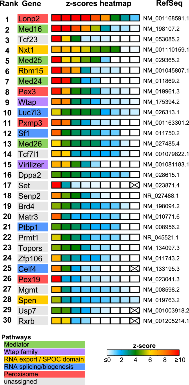 Figure 2