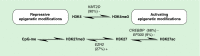 <b>Figure 1.</b>