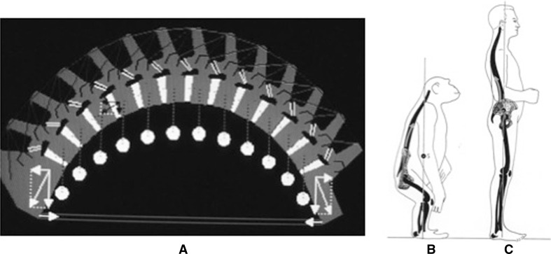 Fig. 7