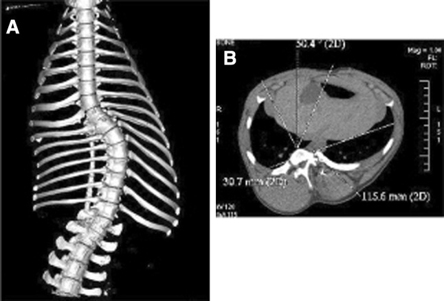 Fig. 5