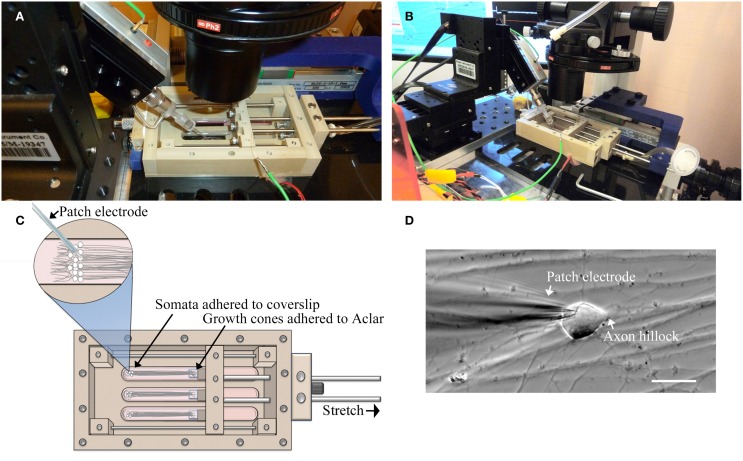 Figure 2